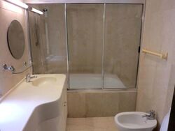 The Balmoral (D10), Condominium #449842891